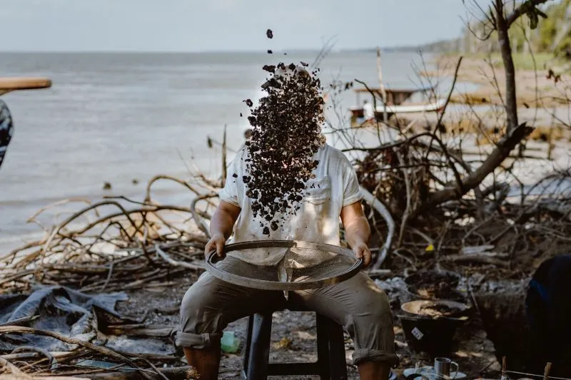 Transformações Históricas: Como as Mudanças Ambientais Impactam os Hábitos das Comunidades Tradicionais